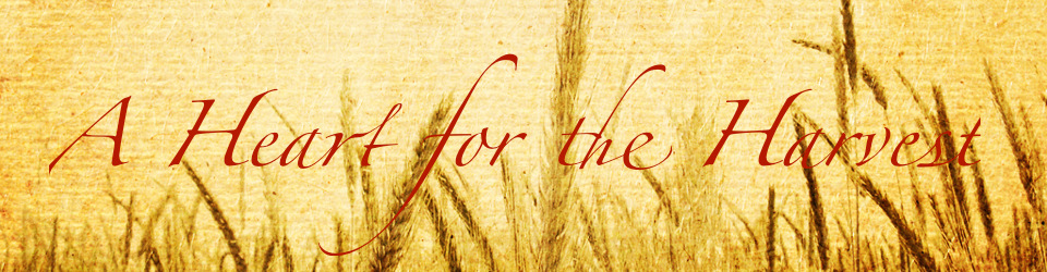 David’s Exhortation to Solomon David’s Exhortation to Solomon